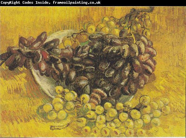 Vincent Van Gogh Stillleben mit Weintrauben